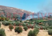 Φωτιά στην Κνωσό – Εκκενώθηκε προληπτικά ο αρχαιολογικός χώρος