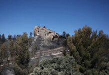Γαλλία: Μεγάλη φωτιά σε δάσος – Βίντεο που κόβουν την ανάσα