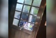 Μεξικό: Σοκαριστικό βίντεο από την απαγωγή της δημοσιογράφου Ροξάνα Γκουσμάν – Βρέθηκαν υπολείμματα της σορού της σε σπίτι