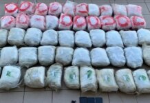 Φλώρινα: Χειροπέδες σε 68χρονο για μεταφορά 55 κιλών κάνναβης – Κατασχέθηκαν όχημα και κινητά