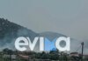 Φωτιά στο Αλιβέρι Εύβοιας: Ήχησε το 112 στην περιοχή Μηλάκι για «ετοιμότητα»
