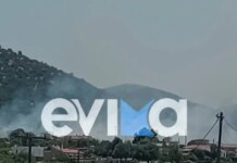 Φωτιά στο Αλιβέρι Εύβοιας: Ήχησε το 112 στην περιοχή Μηλάκι για «ετοιμότητα»