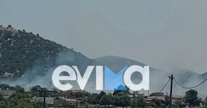 otiaaliveri-1200x630.jpg