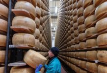 Ο καύσωνας απειλεί και την παρμεζάνα: Σε κίνδυνο το τυρί – σύμβολο της Ιταλίας