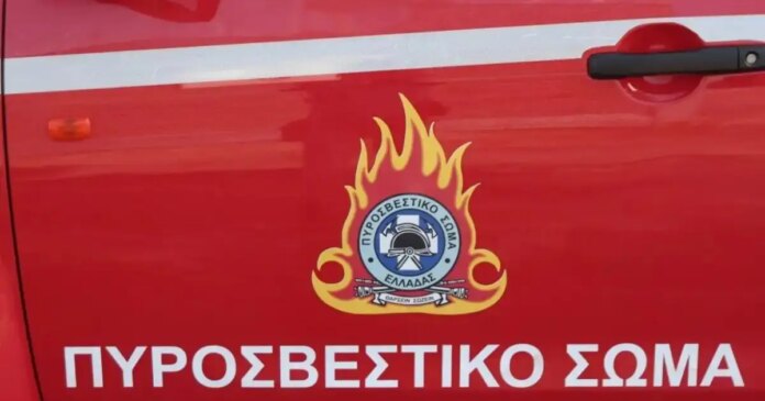 pirosvestiki-1200x630.jpg