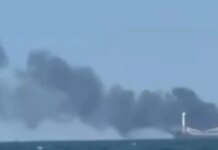 Οι Ρώσοι χτύπησαν με πυραύλους το φορτηγό πλοίο Golden Leo που μετέφερε καλαμπόκι ανοιχτά της Οδυσσού – 10 νεκροί