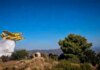 Meteo: Δορυφορικές εικόνες από τις φωτιές σε Βοιωτία και Αργολίδα – Ο καπνός έφτασε μέχρι και τη Λακωνία