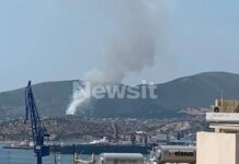 Φωτιά στη Σαλαμίνα στην περιοχή Σελίνια: Μηνύματα του 112 στους κατοίκους – «Απομακρυνθείτε προς παραλία»