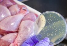 Λαμία: Παίρνουν εξιτήρια οι ασθενείς που κατανάλωσαν κοτόπουλα μολυσμένα από σαλμονέλα – «Αναμένονται και άλλα κρούσματα»