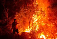 Τουρκία: Μάχη με τις φωτιές δίνουν 3.500 πυροσβέστες σε πολλαπλά μέτωπα – Πνέουν ισχυροί άνεμοι