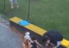 Ουκρανία: Συγκλονιστικό βίντεο με θραύσματα ρωσικού πυραύλου που πέφτουν σε πάρκο – Τέσσερις νεκροί, ανάμεσά τους ένα παιδί και 17 τραυματίες
