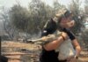 Συγκίνηση στη Βοιωτία: Αστυνομικός έσωσε κατσικάκι από τις φλόγες