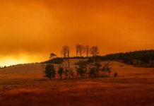 Φωτιά στον Καναδά: Κάτοικοι εγκαταλείπουν τα σπίτια τους για να σωθούν από τις φλόγες – Εικόνες αποκάλυψης