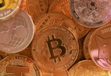 Θεσπρωτία: Απατεώνες άρπαξαν 300.000 ευρώ από 78χρονο με κόλπο «επενδύσεις» σε κρυπτονομίσματα