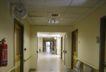 Θεσσαλονίκη: Εξιτήριο για το 4χρονο κορίτσι μετά την επίθεση από άγριο ζώο – Στο μικροσκόπιο το ενδεχόμενο να ήταν τσακάλι