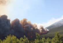 Χριστίνα Ρήγου για τη φωτιά στο Πόρτο Γερμενό: «Ριπές πάνω από 80 χλμ την ώρα συνέβαλαν ώστε η φωτιά να εξελιχθεί σε mega fire»