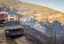 Φωτιά στην Αχαΐα: Μήνυμα του 112 «απομακρυνθείτε προς Άλσος και Νερατζιές»