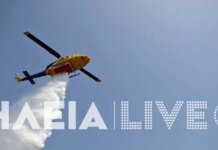 Φωτιά στην Ηλεία, στην περιοχή Κουνουπέλι: Σηκώθηκαν 2 εναέρια μέσα