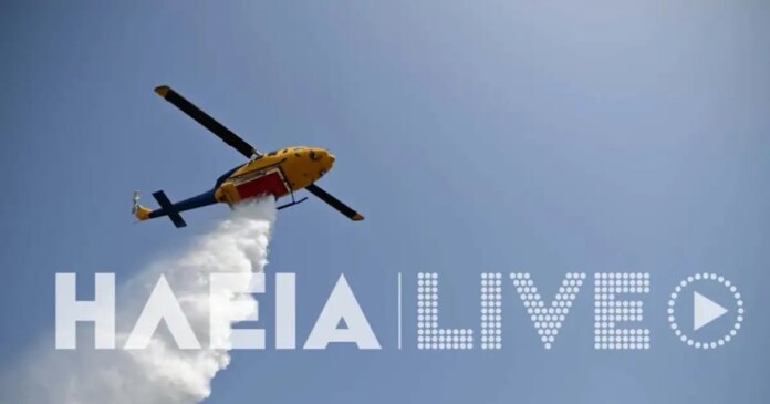 fotia-ileia-1200x630.jpg