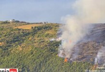 Φωτιά στην Κεφαλονιά: Συνελήφθη 44χρονος για εμπρησμό από πρόθεση – Είχε καταδικαστεί και στο παρελθόν