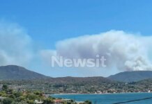 Φωτιά στη Σαλαμίνα: Διπλό πύρινο μέτωπο, κοντά σε σπίτια οι φλόγες – Μπαράζ μηνυμάτων 112 και εκκένωση διά θαλάσσης από Σελήνια και Κακή Βίγλα