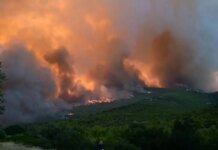 Φωτιά στη Νέα Πέτρα Σερρών, ισχυρές δυνάμεις στο σημείο
