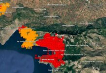 Φωτιά στη Βοιωτία: Ανυπολόγιστες ζημιές από την πύρινη κόλαση – Κάηκαν πάνω από 50.000 στρέμματα