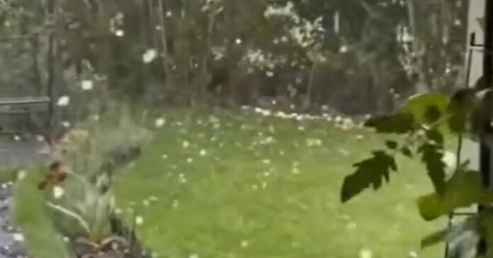 hailstone-1200x630.jpg