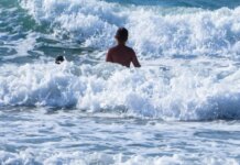 Καιρός: Εκρηκτικό κοκτέιλ ζέστης με 40άρια και 8 μποφόρ – Σε συναγερμό η χώρα για φωτιές, ενισχύονται οι άνεμοι τις επόμενες ημέρες