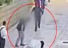 Αθώος ο άνδρας που επιτέθηκε σε Γαλλίδα μοναχή στην Ιερουσαλήμ – Το δικαστήριο έκρινε ότι βρισκόταν σε ψυχωσική κατάσταση