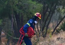 Φωτιά στη Βοιωτία: Στο νοσοκομείο δύο πυροσβέστες που επιχειρούσαν στα πύρινα μέτωπα