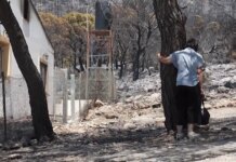 Φωτιά στο Πόρτο Γερμενό: «Αυτό το δάσος δεν θα ζήσουμε να το ξαναδούμε» – Σπαρακτική επιστροφή των πυρόπληκτων