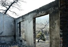 325 οι αυτοψίες σε σπίτια που κάηκαν από τις φωτιές σε Ρέθυμνο, Αττική, Φωκίδα, Βοιωτία και Αχαΐα – «Κόκκινα» 118 σπίτια