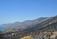Πόρτο Γερμενό: Μετά τη φωτιά έχει αυξηθεί ως και 14 βαθμούς η θερμοκρασία του εδάφους