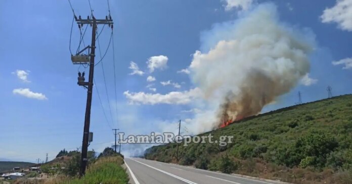 pyrkagia-kamelobrysi1-1200x630.jpg
