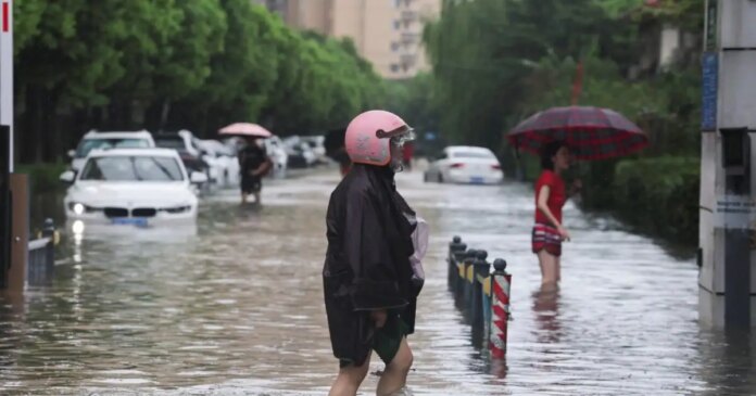 tyfonas-kina-dolphin-shanghai-reuters-1-1200x630.jpg
