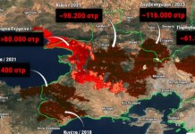 Φωτιές στη Δυτική Αττική: Ο χάρτης της καταστροφής, πάνω από 480.000 στρέμματα κάηκαν σε εννέα χρόνια
