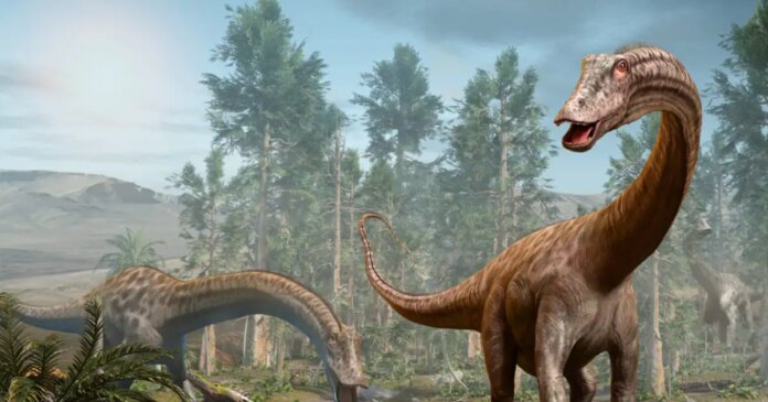 diplodocus-istock-1263846134-1-1200x630.jpg