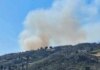 Φωτιά στη Δροσοπηγή: Μεγάλη κινητοποίηση της πυροσβεστικής – Εναέρια μέσα παλεύουν με τις φλόγες