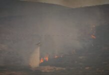 Καλαμάτα: Προφυλακιστέος ο 60χρονος που έβαλε 4 φωτιές – Τον άφηναν ελεύθερο και έκανε εμπρησμούς