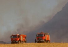 Πρέβεζα: Μεγάλη κινητοποίηση για φωτιά στο Θεσπρωτικό – Στη μάχη και εναέρια μέσα