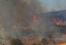 Φωτιά σε αγροτοδασική έκταση στην Ορεστιάδα – Στη μάχη και εναέρια μέσα