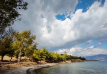 Καιρός – Μαρουσάκης: Ζέστες με 32άρια το επόμενο τριήμερο – Φθινόπωρο με πτώση της θερμοκρασίας από την επόμενη εβδομάδα