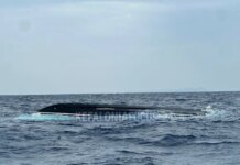 Κεφαλονιά: Αγωνία για 45χρονο Ρουμάνο μετά από ανατροπή σκάφους