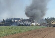 Φωτιά σε δασική έκταση στην Τανάγρα από την πτώση του Phantom: Ήχησε το 112, πού υπάρχει διακοπή κυκλοφορίας