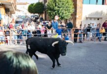 Ισπανία: Ταύρος σκότωσε 64χρονη σε αγώνα ταυροδρομίας – Συγκλονιστικό βίντεο από την επίθεση