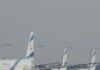 Ισραήλ: Η El Al ακύρωσε τις πτήσεις της με τις οποίες θα επαναπατρίζονταν οι Ισραηλινοί που παραμένουν στα ΗΑΕ