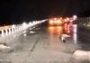 Λάρισα: Αγριογούρουνα προσπάθησαν να περάσουν την Εθνική Οδό και προκάλεσαν τροχαίο